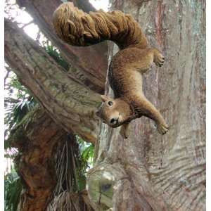  Sara the tree climbing squirrel home yard statue new 