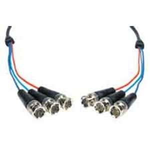   plugs to 3 BNC plugs RGB Video Cable 10ft   3BP 3BP 10HR Electronics