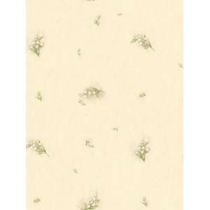  Wallpaper Steves Color Collection   Beige BC1581786