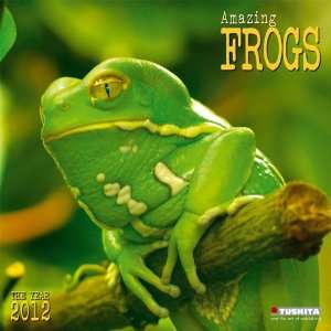  Amazing Frogs 2012 Wall Calendar