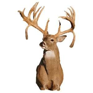  Mossy Oak Graphics 13012 Deer Double Drop Tine Buck Cut 
