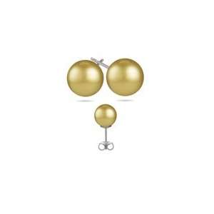  11 11.5mm Golden South Sea Pearl (AAA) Earrings in 14K 
