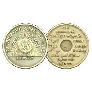 15 Year Bronze AA Birthday   Anniversary Recovery Medallion / Coin