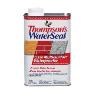  Thompsons Water Seal Clear Multi Surface Waterproofer   6 