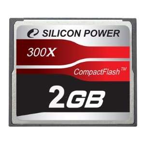   Silicon Power Professional 2GB CF 300x Speed