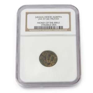  Money of the Bible Judaea Herod Agrippa (AD 37 44) Bronze 