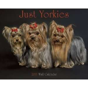  Just Yorkies 2011 Wall Calendar