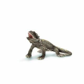 Pogona Lizard (Schleich Wild Life)