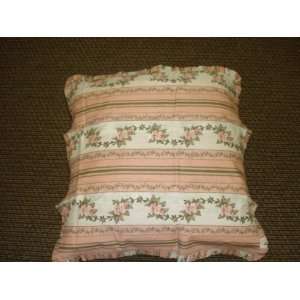  Floral Pink Euro Pillow Case Set of 2