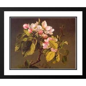  Heade, Martin Johnson 34x28 Framed and Double Matted Apple 