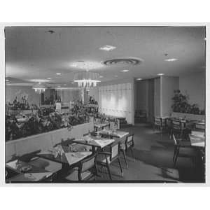   business in 163rd St. Shopping Center, Miami, Florida. Tearoom II 1957