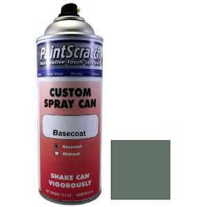   Paint for 1983 Mercury All Models (color code 1H/5781) and Clearcoat