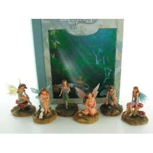  Faerie Glen Storybook Miniature Fairy Figurine Set of 6 