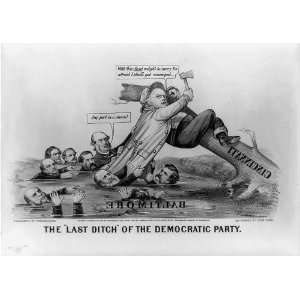   Reprint The last ditch of the democratic party 1872