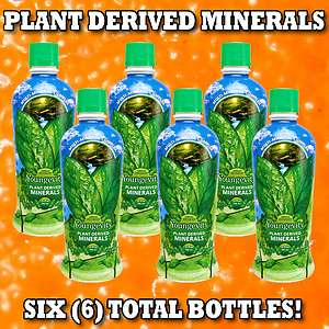 Youngevity Majestic Earth Plant Derived Minerals 6 PACK  