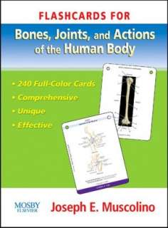 Flashcards for Bones, Joints and Actions of the Human Body
