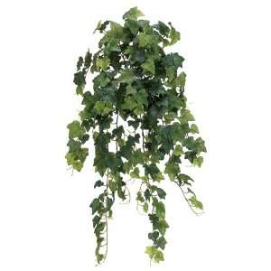  34 Instant Open Rounded English Ivy Hanging Bush x19 Green 