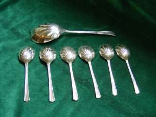 SET of YEOMAN SILVER PLATED FRUIT SPOONS + SERVING SPOON c1940 in 