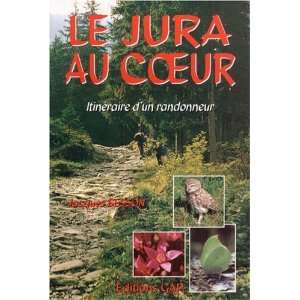    itineraire dun randonneur (9782741701828) Jacques Besson Books