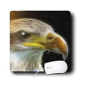 SmudgeArt Eagle Designs   Bald Eagle   C   Mouse Pads 
