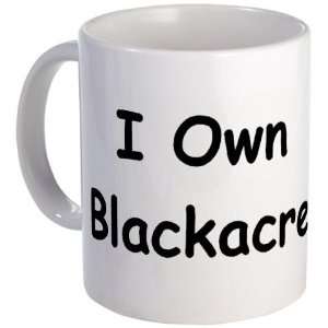   LAW   I Own Blackacre Lawyer Mug by 