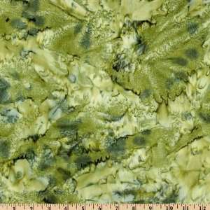  43 Wide Batik Gula Gula Seaweed Cotton Fabric By The 