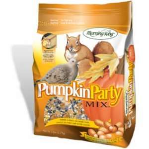  Morning Song #1022478 4.5 Pumpkin Party Mix Patio, Lawn 