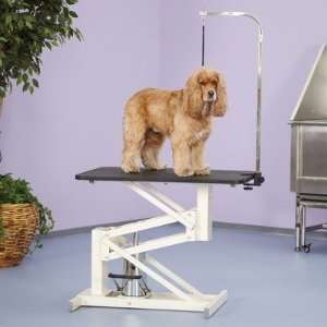   TP389 Z lift Hydraulic Dog Grooming Table in Ivory