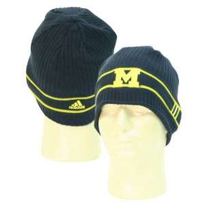   Wolverines Ribbed 2 Stripe Winter Knit Hat   Blue
