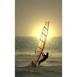  Windsurf   Peel and Stick Wall Decal by Wallmonkeys Patio 