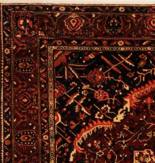Area Rugs Large Handmade Persian Wool Bakhtyari 13 x 16  