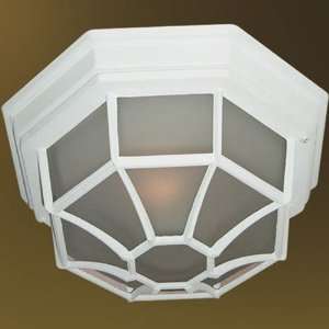   Powder Coat White Valley Outdoor Ceiling Fixture from the Valley