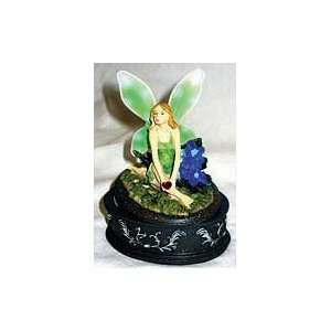  Green Winged Fairy Box