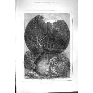    1880 AUGUST SCENE TREES FOREST RIVER ROCKS FINE ART