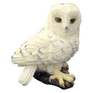  2.5 Cute Mini Owl   Snowy Owl