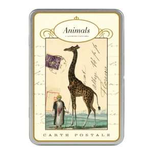  Cavallini Animals Carte Postale, 18 Postcards per Tin 