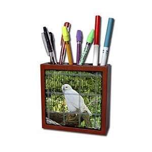  Edmond Hogge Jr Birds   White Owl   Tile Pen Holders 5 
