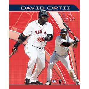   David Ortiz (Boston Red Sox) Portfolio (8100654)