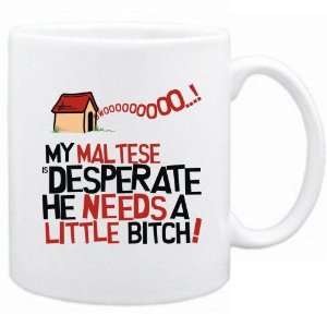    New  My Maltese Is Desperate   Mug Dog