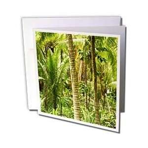 Kike Calvo Panama   Tropical plants   Greeting Cards 6 Greeting Cards 