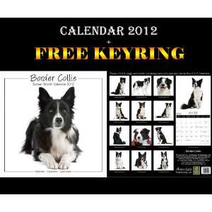  Collie Studio Dogs Calendar 2012 + Free Keyring AVONSIDE Books