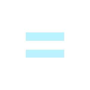  4 ft. x 6 ft. Argentina Flag No Seal for Parades & Display 