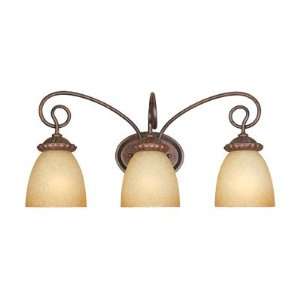   Umber Bronze Bath Vanity Fixture with Venetian Scavo Glass 99303 AUB