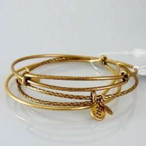  Alex and Ani  Set of 3 Expandable Wire Bracelet in 