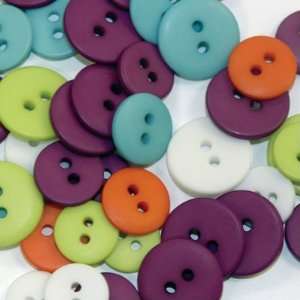  SEI Allys Wonderland Buttons Assorted Arts, Crafts 