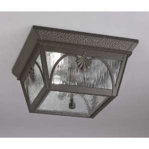   Bronze Duck Pond Outdoor Ceiling Fixture from the Duck Pond Collection