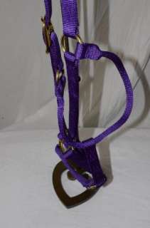 Weaver Leather Classic 1 Nylon Horse Halter Purple L  