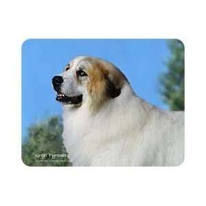  Great Pyrenees Coasters