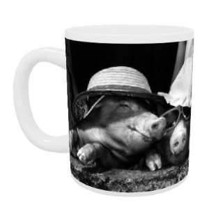  A touch of midsummer madness at Alfriston Zoo   Mug 