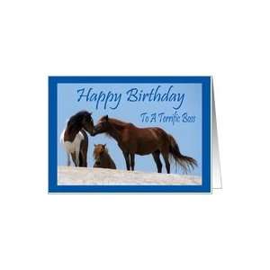  Birthday To Boss, wild horses on beach Card Health 